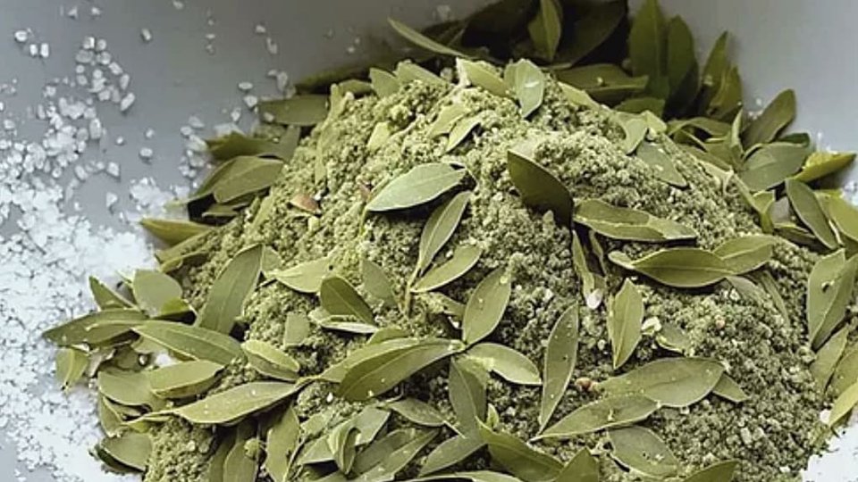 Hojas de hierba listas para infusionar